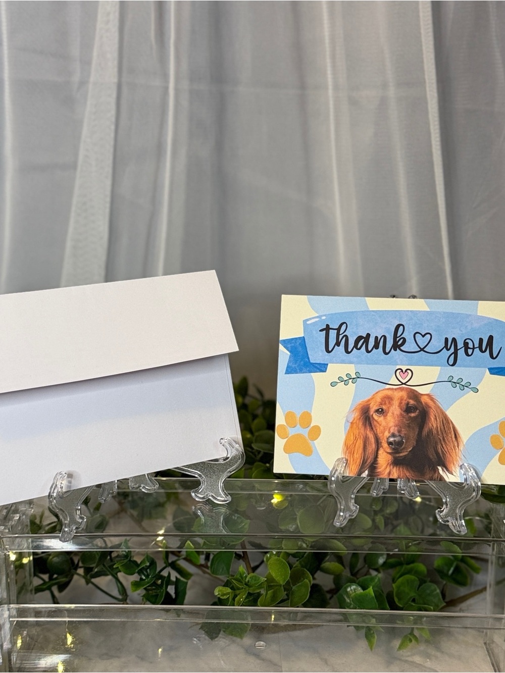 15 Dachshund Thank You Cards with White Envelopes 4x6 Blank Greeting Cards